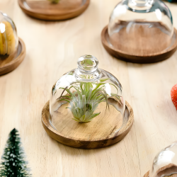 Wooden & Glass Serving Platter Small
